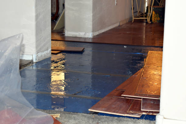Professional Basement Flood Cleanup technician working in Jacksboro, TN